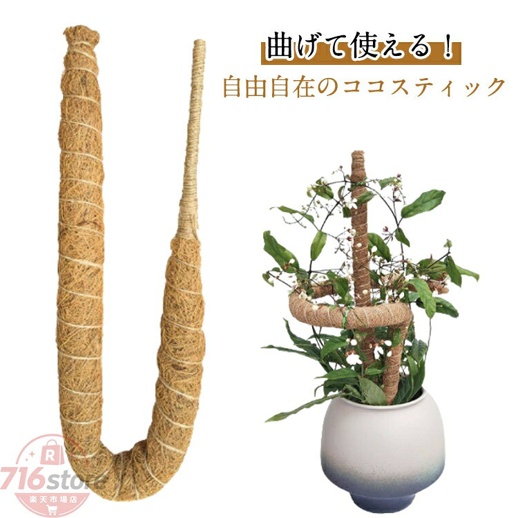 【6本セット】曲げられる ココスティック 観葉植物 支柱 モンステラ支柱 ココナッツ支柱 ガーデニング 園芸支柱 植物サポート つる性植物 ポトス トマト対応 60cm 70cm 80cm 花ささえ モスポール