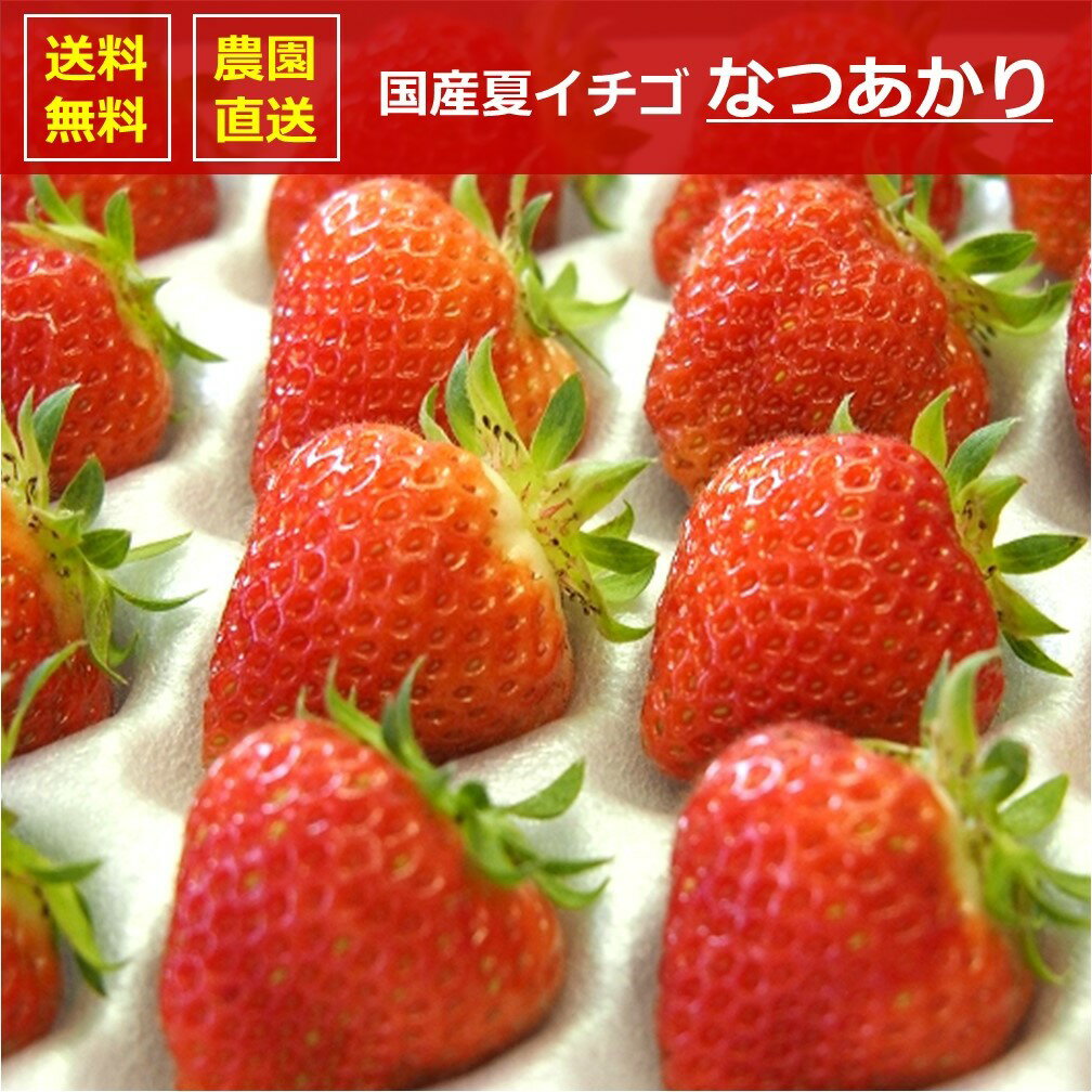 ƥ̵611ȯɿ̣οʼʥγ·ĸʤĤꤴ