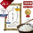 期間限定5%OFFクーポン配布中【ANA国際線ビジネスクラス採用】ゆめぴりか 米 5kg・10kg・20kg 白米 コメ こめ お米 北海道米「一粒の想い」銀山産ゆめぴりか 令和6年産 産地直送