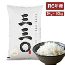 【産地限定】 北海道産 さんさんまる(三三⚪︎) 米 5kg・10kg白米 コメ こめ お米 北海道米 直播米 令和6年産 産地直送 ...