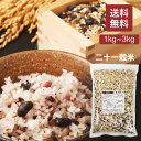 二十一穀米MX 1kg 雑穀米 21穀米 雑穀 穀米 無添加 送料無料 アマランサス もち麦 押麦 玄米 もちもち雑穀米 食品 食べやすい 美味しい 食物繊維 ...