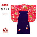 卒業式 袴セット 女子用 大学生 長丈の二尺袖着物 小振袖 刺繍袴(M/Lサイズ) 2点セット 合繊「ピンク、ねじり梅に宝」DNK2418HS-M