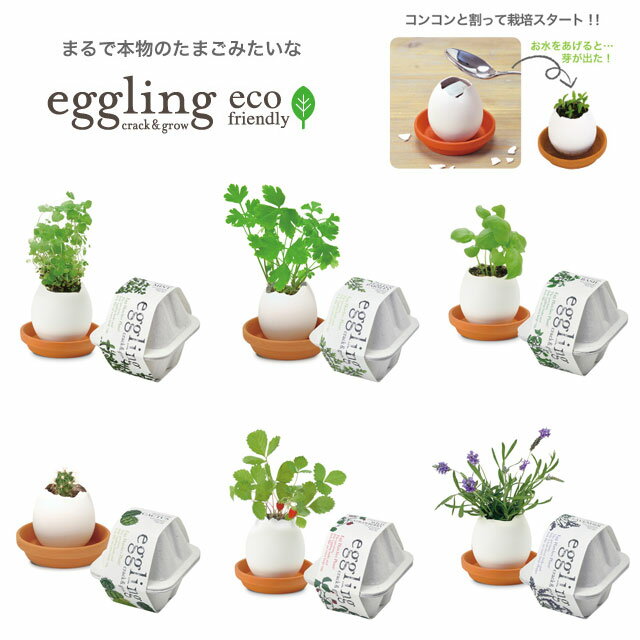 ͔|Lbg ͔|Zbg 킢   v[g Mtg n[u oW C^ApZ ~g JN^X ChXgx[ x_[ CeA ͔| eggling eco friendly GbOO GRth[  [ 