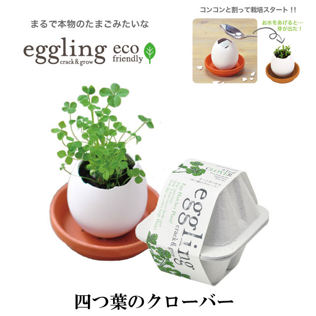『栽培セット』 eggling eco friendly エッグリング エコフレンドリー 四つ葉のクローバー 【即納】 栽培キット 植物…
