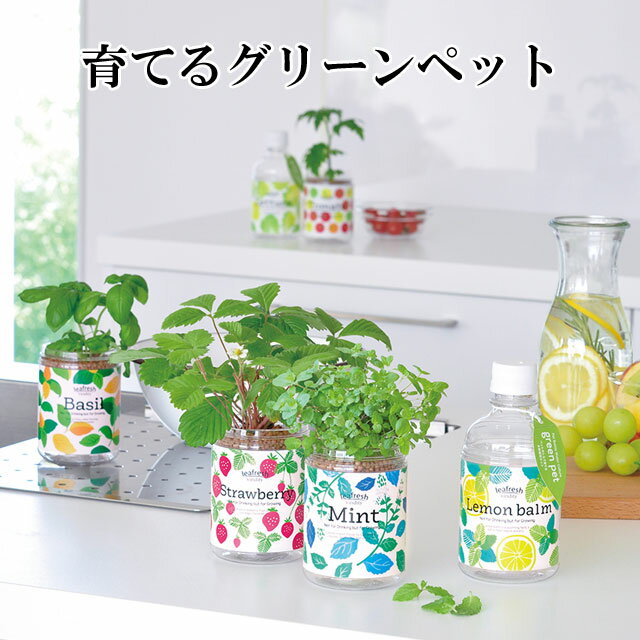 栽培キット ミント ハーブ バジル ミニ トマト レタス 野菜 レモンバーム ワイルドストロベリー レタス 観葉植物 グリーン 植物 インテリア おしゃれ 栽培 室内 栽培セット 家庭菜園 一人暮ら…