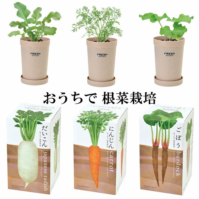 ギフト対応 　　ポイント 土がたっぷりと入る深鉢なら、おうちで根菜も育てられます。 根菜の栽培の楽しさは土の中で無事に育っている様子が見えないドキドキ感。 自分で種から育てた野菜を引き抜いて、収穫の喜びを味わいましょう。 【商品詳細】 ■商品サイズ：W110.3cm×D10.3cm×H18.8cm ■セット内容：ポット/鉢底シート/培養土/種/説明書/肥料 【注意事項】 ■種や土などお子様やペットが誤って口に入れない様、取り扱いには十分にご注意下さい。 ■種を食用・飼料用に使用しないで下さい。 ■気象条件・地域・標高など栽培環境により生長具合や栽培結果は異なります。 ■栽培時期はあくまでも目安です。適温での種まき、地域や条件に合わせた栽培をおすすめします。 ■種は、多めに入っています。まきすぎに注意して下さい。 ■種まきは冬期を避け、管理しやすい時期を選んで下さい。（発芽・栽培適温に達しない場合は発芽しなかったり、生長不良になる場合があります。） ■栽培を始めるまでは直射日光・湿気を避け、涼しい所で保管して下さい。 ■お客様のパソコン環境によって商品の色合いなどが異なる場合がございますので予めご了承ください。◆土がたっぷりと入る深鉢なら、おうちで根菜も育てられます。 ◆根菜の栽培の楽しさは土の中で無事に育っている様子が見えないドキドキ感。 自分で種から育てた野菜を引き抜いて、収穫の喜びを味わいましょう。