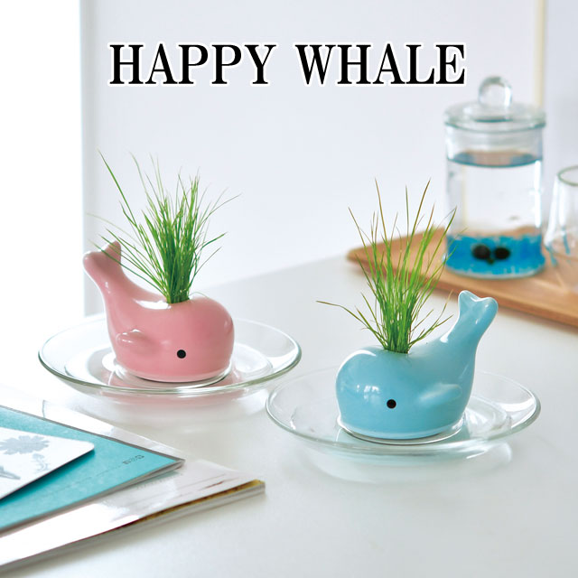 ͔|Lbg HAPPY WHALE nbs[ zG[ ͔|Zbg NW ~  A O[ n[u Ő  CeA 킢 IV u ObY