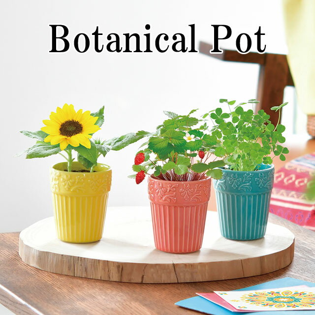 栽培キット Botanical Pot ボタニカル ポット 栽培セット ワイルドストロベリー ミニヒマワリ 四つ葉のクローバー 植物 グリーン ハーブ 向日葵 ヒマワリ インテリア かわいい オシャレ 置物 …