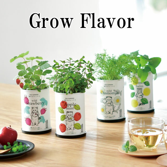 栽培キット Grow Flavor 育てるフレーバー 栽培セ