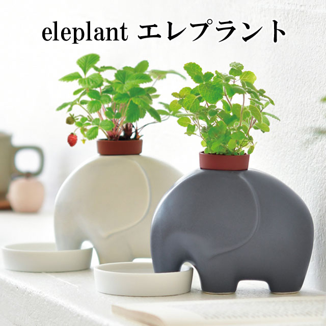 栽培セット eleplant エレプラント 栽培キット 植物 動物 グリーン ハーブ 野菜 アップルミント ワイルドストロベリー 像 ゾウ ぞう かわいい おしゃれ インテリア 置物 グッズ 陶器 グレー ホワイト