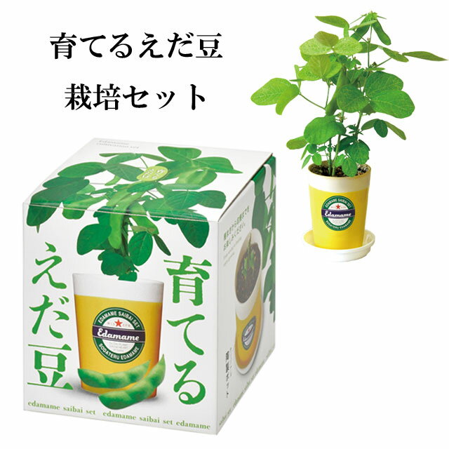 栽培セット 育てるえだ豆栽培セット 【即納】 栽培キット 植物 枝豆 えだまめ ビール おつまみ つ ...