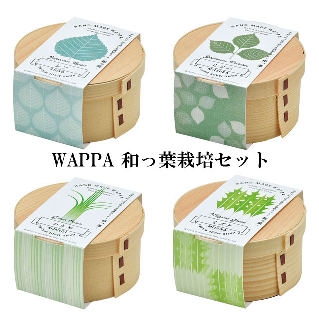 栽培セット WAPPA 和っ葉 栽培キット 植物 動物 グリーン ハーブ 野菜 シソ 三つ葉 コネギ ...