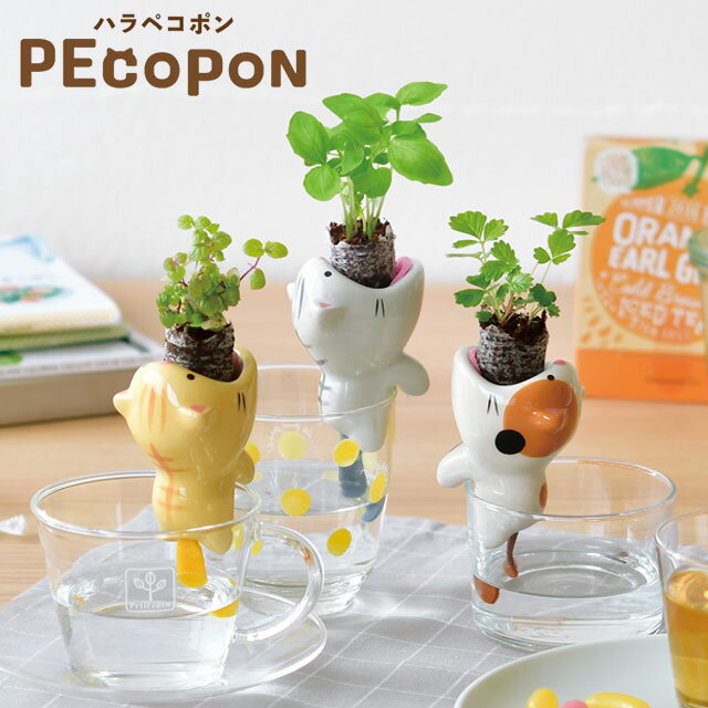 栽培セット PEcopon ハラペコポン 栽培キット 植物 動物 グリーン ハーブ 野菜 ワイルドストロベリー バジル ミント ミケ ネコ サバトラ 茶トラ かわいい おしゃれ インテリア 置物 グッズ