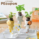 栽培セット PEcopon ハラペコポン 栽培キット 植物 動物 グリーン ハーブ 野菜 ワイルドストロベリー バジル ミント ミケ ネコ サバトラ 茶トラ かわいい おしゃれ インテリア 置物 グッズ