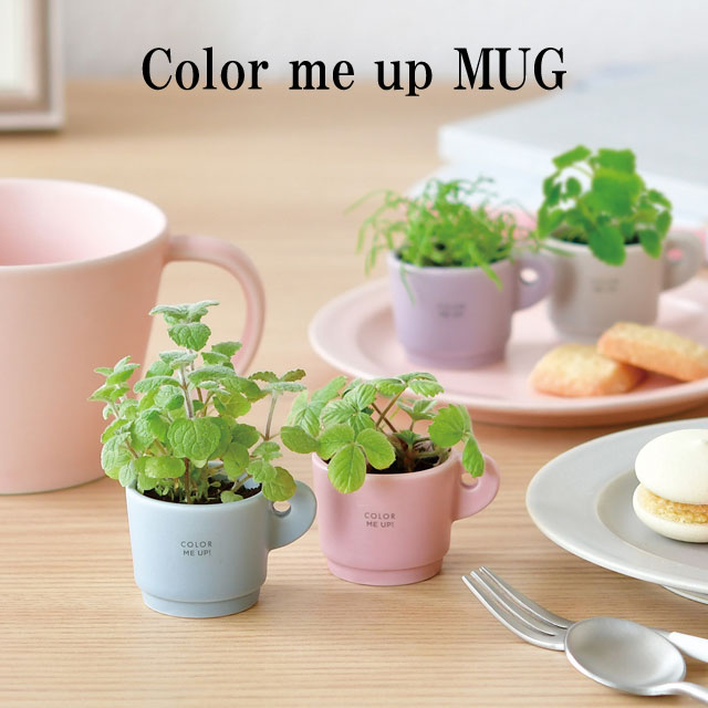 ͔|Lbg Color me up MUG J[~[Abv}O y[z ͔|Zbg Abv~g o[ ChXgx[ J~[ A O[ n[u CeA 킢 IV u ObY