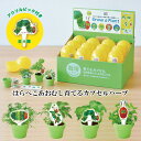 はらぺこあおむし育てるカプセルハーブ 栽培セット かわいい 栽培キット バジル カモミール ワイルドストロベリー ミント 子供 室内 プレゼント 植物 グリーン...