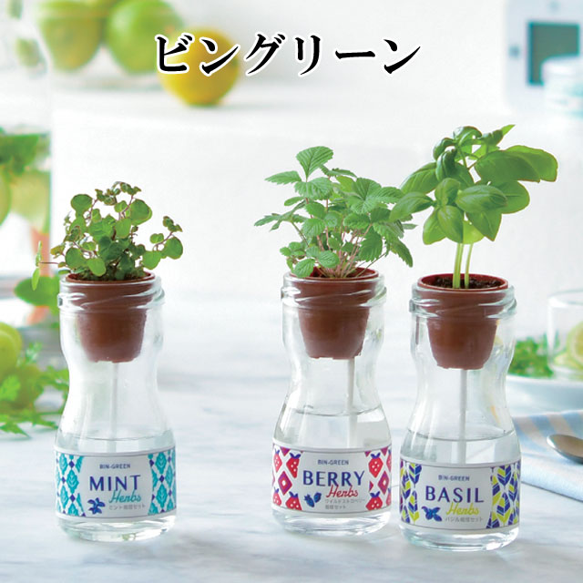 栽培キット ビングリーン 栽培セット 植物 グリーン ハーブ 野菜 ミント バジル ワイルドストロベリー かわいい おしゃれ ギフト グリーン インテリア 置物 グッズ