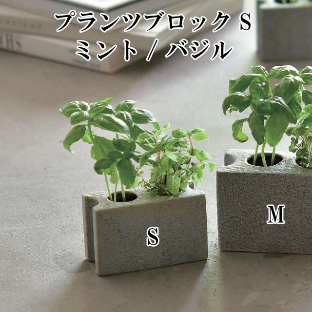 栽培キット プランツブロック S ミント / バジル 栽培セット 植物 グリーン ハーブ 野菜 ミント バジル かわいい お…