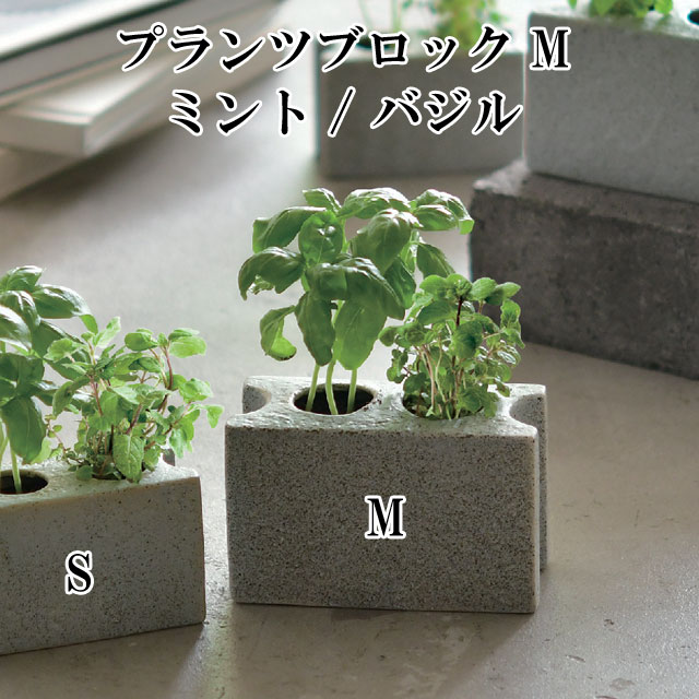 栽培キット プランツブロック M ミント / バジル 栽培セット 植物 グリーン ハーブ 野菜 ミント バジル..