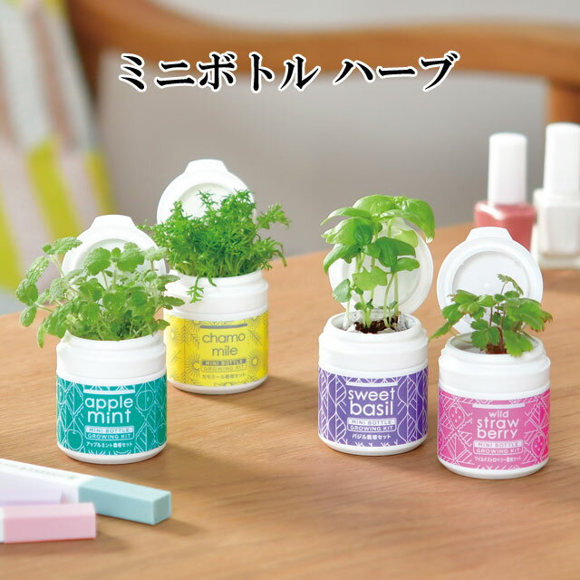 ͔|Lbg MINI BOTTLE HERBS ~j{g n[u 킢 ͔|Zbg n[u  v[g Abv~g oW ChXgx[ J~[  ƒ؉ ϗtA  O[ ACeA u