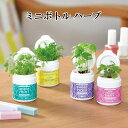 栽培キット MINI BOTTLE HERBS ミニボトル ハーブ かわいい 栽培セット ハーブ 室内 プレゼント アップルミント バジル ワイルドストロベリー...