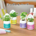 栽培キット MINI BOTTLE HERBS ミニボトル ハーブ かわいい 栽培セット ハーブ 室内 プレゼント アップルミント バジル ワイルドストロベリー カモミール おしゃれ 家庭菜園 観葉植物 花 グリーン 植物インテリア 置物