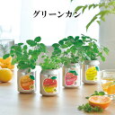 栽培キット GREEN CAN グリーンカン ハーブ かわいい 栽培セット ハーブ レモンバーム 室内 プレゼント アップルミント ワイルドストロベリー オレン...