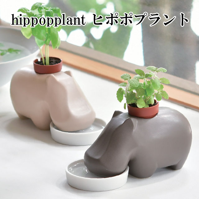 栽培セット hippopplant ヒポポ プラント 栽培キット 植物 動物 グリーン ハーブ 野菜 アップルミント バジル カバ …