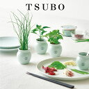 栽培キット TSUBO しそ 唐辛子 ねぎ 栽培セット 壺 種 野菜 とうがらし シソ トウガラシ ネギ かわいい おしゃれ ギフト グリーン インテリア 置物 グッズ