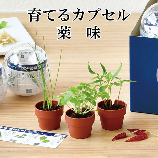 栽培キット 育てるカプセル 薬味 【即納】 栽培セット 植物