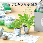 栽培キット 育てるカプセル 雑草 【即納】 栽培セット 植物 グリーン ナズナ カラスノエンドウ シロツメクサ クローバー オオイヌノフグリ かわいい おしゃれ ギフト グリーン インテリア 置物 グッズ