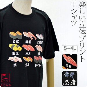 ＼マラソン限定★最大2000円OFFクーポン／ tシャツ 半袖 日本製 立体プリント 和柄 tシャツ《S-4L_全2種》｜海外お土産 外国人 おしゃれ 単衣 絽 紗 夏用 大人 女性 男性 メール便 新品購入 10016816★父の日 プレゼント 実用的★