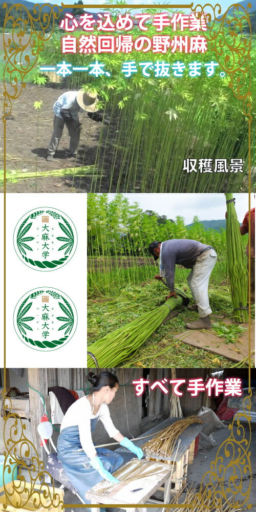 �ڥ᡼���زġۡڹ񻺡������ʾ����������4g��5g�ˡ�2025ǯ��_�����Ҥ��㱤��θ��̤����ԤǤ��ޤ��ڤ������3���ޤǡۡڤ�����������ԡ��˺�Ŭ�ۥץ饹�������������������̤���ԤǤ��ޤ�asa801���ܾ��ʤ�����ˤϸ����ޤ���