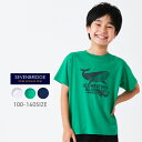 【20%OFF】 SALE【7BRIDGE 06-20】7BRIDGE SEA WEATHERTシャツtシャツ キッズ 半袖 春 夏 くじら プリント 女の子 ...
