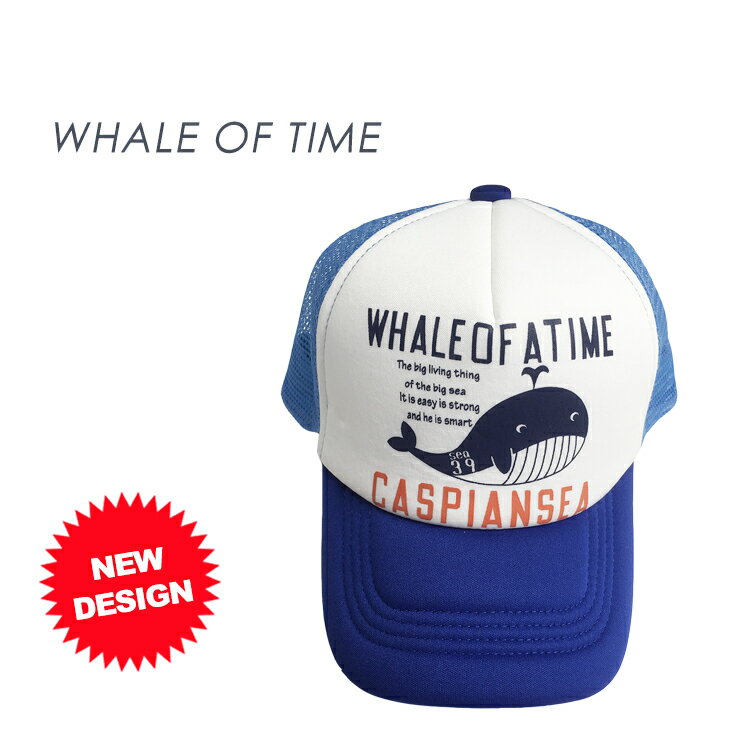 【メール便送料無料】【1,100円税込みポッキリ】メッシュキャップ キッズ 帽子 キャップ アウトドア 日よけ ダンス衣装 アメカジ 親子お揃い ストリート カジュアル 春夏 新作 メール便 対応商品 熱中症対策 7BRIDGE