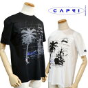 【送料無料】【50 OFFセール】 カプリ capri メンズ ブランド Tシャツ 半袖 服 白 黒 春夏 ヤシの木 リゾート柄 2231-2591