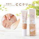 CCクリーム エトゥベラ ナチュラルオークル SPF30 PA UV 30g ベースメイク クリーム 化粧下地 コンシーラー 美容液 日焼け止め ファンデーション コスメ 韓国コスメ