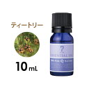  アロマオイル エッセンシャルオイル 精油 ウッディー系 ティートリー 10ml アロママッサージ アロマテラピー アロマディフューザー