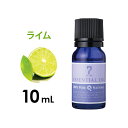 アロマオイル エッセンシャルオイル 精油 柑橘系 ライム 10mL アロママッサージ アロマテラピー アロマディフューザー