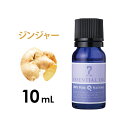 アロマオイル エッセンシャルオイル 精油 スパイシー系 ジンジャー 10ml アロママッサージ アロマテラピー アロマディフューザー