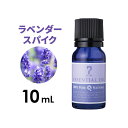 【店内全品P5倍】12/17(日)09:59まで ラベンダー・スパイク 10mL アロマオイル エッセンシャルオイル SEVEN BEAUTY アロマ精油 精油 天然 アロママッサージ アロマテラピー