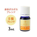 アロマオイル エッセンシャルオイル 精油 ブレンド 身体ポカポカ 3mL アロママッサージ アロマテラピー アロマディフューザー