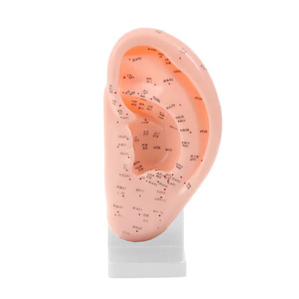 ���Ϸ� ���Ĥ� ��������� ��120�߱���65�߹⤵250mm �����Ϸ� �з�ͷ� �з��Ϸ� �����Ϸ� ���ĥ� ���� �� ���䡼 �ޥͥ��� �ϥ�������