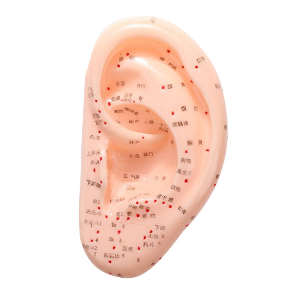 ���Ϸ� ���Ĥ� ��80�߱���35�߹⤵140mm �����Ϸ� �з�ͷ� �з��Ϸ� �����Ϸ� ���ĥ� ���� �� ���䡼 �ޥͥ��� �ϥ�������