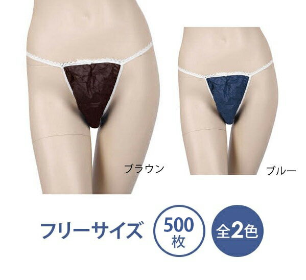 送料無料 Tバックショーツ レディース パンティー 女性下着 パンツ 英字ロゴ シースルー 透け感 セクシー ローライズ 婦人下着 シンプル おしゃれ