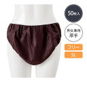 ペーパーショーツ フリーサイズ 5L 50枚入 不織布 紙ショーツ 紙パンツ ペーパーパンツ 使い捨てショーツ 使い捨てパンツ 使い捨て パンツ ショーツ 下着 旅行 携帯 入院 介護 エステ用品 防災 ブラウン