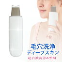 ウォーターピーリング 超音波ピーリング 美顔器 ディープスキン エステ機器 スクラバー 毛穴洗浄 毛穴ケア 皮脂汚れ 角質除去 角栓 鼻 黒ずみ 美顔機 美容機...