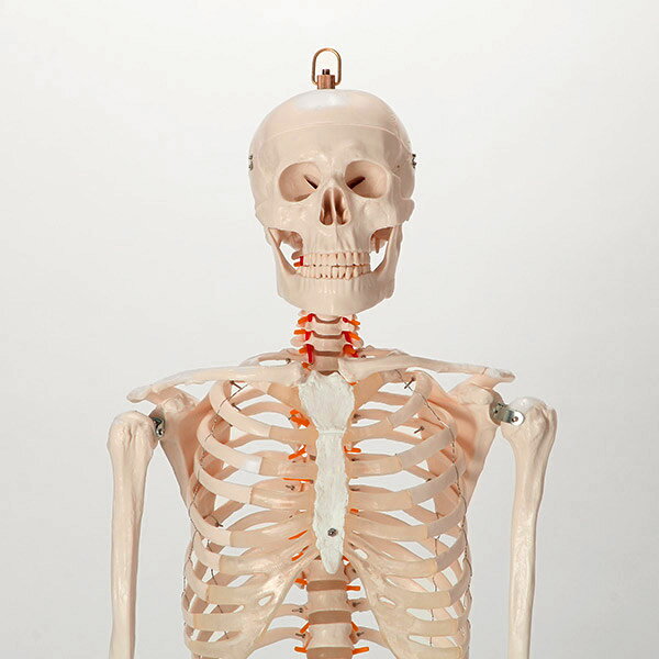 �����Ϸ� �����Ϸ� ���ȹ��� �Ϸ� ������ �����Ϸ� ����ɸ�� ���Ϸ� �����Ϸ� �͹��Ϸ� ���� ���� ��ǥ� �ҥ塼�ޥ󥹥��� ���� �������� ��ư ���� �����Ϸ� ���� �¸� �ܹ��� ������ �ϥ������� 7�������