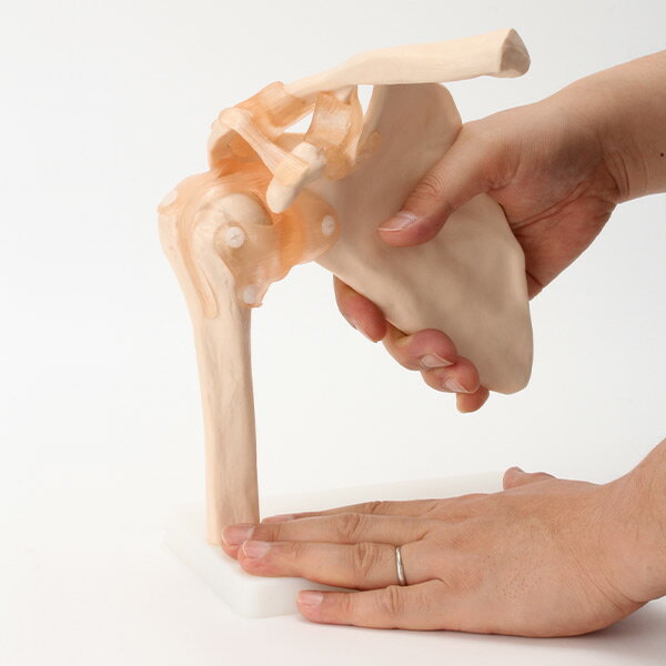 �����Ϸ� �����Ϸ� ������ �Ϸ� ��ʪ�� �����Ϸ� ����ɸ�� ���Ϸ� �����Ϸ� �͹��Ϸ� ���� ���� ��ǥ� �ҥ塼�ޥ󥹥��� ���� �������� ��ư ���� ���� �¸� �ܹ��� ������ �ϥ������� 7�������