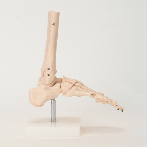 �����Ϸ� �����Ϸ� ­���� �Ϸ� ��ʪ�� �����Ϸ� ����ɸ�� ���Ϸ� �����Ϸ� �͹��Ϸ� ���� ���� ��ǥ� �ҥ塼�ޥ󥹥��� ���� �������� ��ư ��­ ­ ���� �¸� �ܹ��� ������ �ϥ������� 7�������